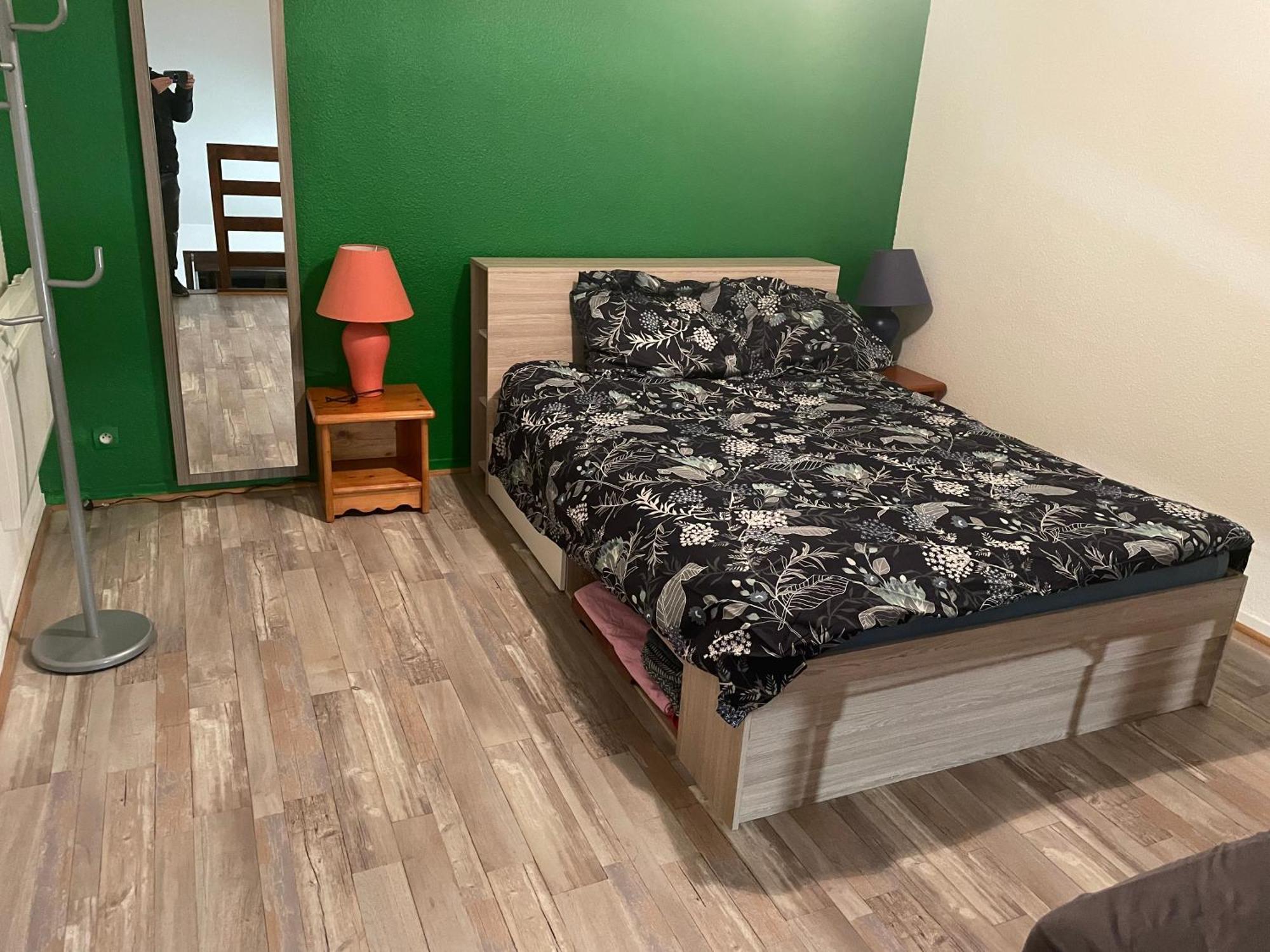 Appartement Duplex T1 阿尔贝维尔 外观 照片